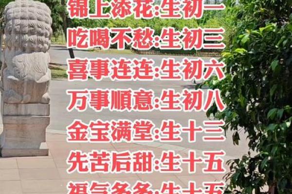 节日与生日同日，农历中的奇妙时机与节庆