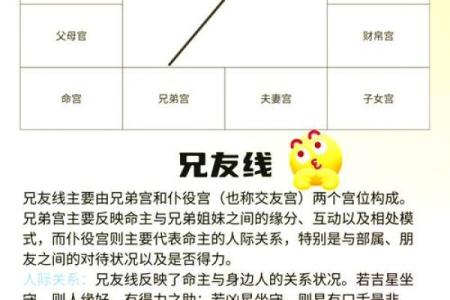 如何破解命运密码：你不知道的八字命理暗藏玄机