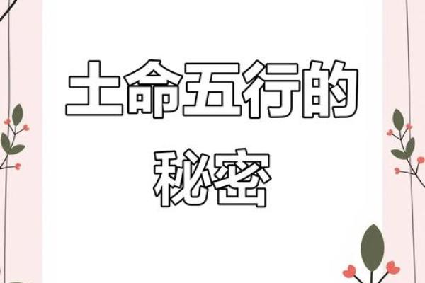 徐的五行格局:揭秘性格密码,如何打造人生巅峰? 徐的五行格局:揭秘性格密码,如何打造人生巅峰?