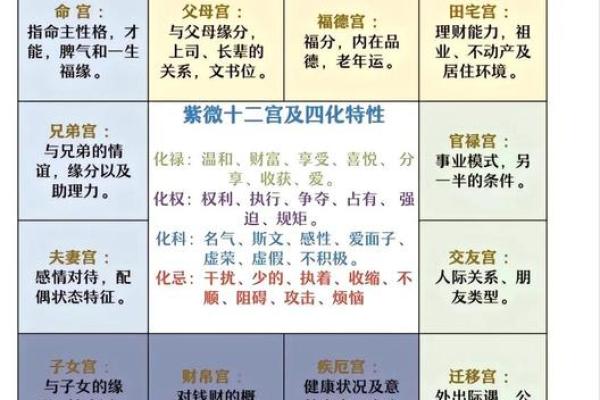 子五行属性深度解析：性格解析中的神秘力量，你了解多少？