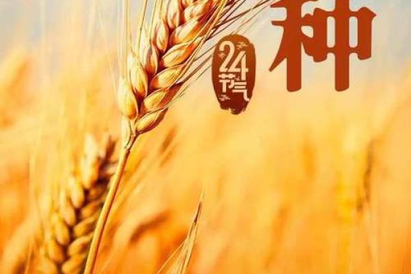 七月一日，农耕社会的节令与生活智慧