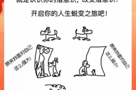 颠覆命运：星辉命理教你如何改变自己的一生