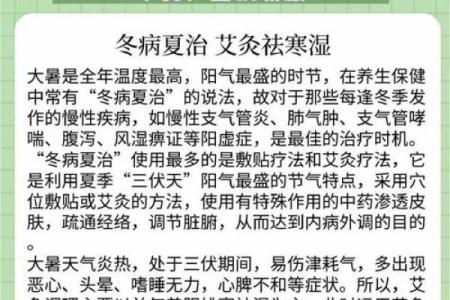 五月初一养生智慧：如何调养身心迎接夏季