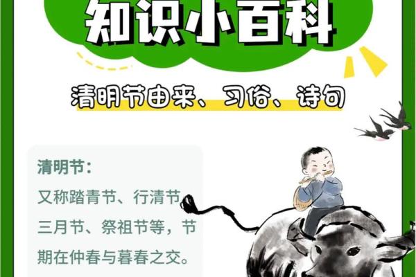 清明节的传统节日意义与现代生活结合