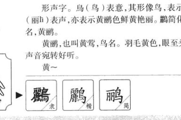 忠字五行格局：反而让你更受欢迎的性格秘密