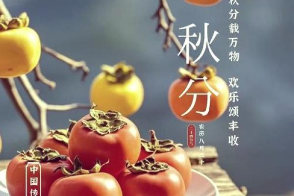 是秋分节气,如何养生保健迎接寒冷季节 是秋分节气,如何养生保健迎接寒冷季节