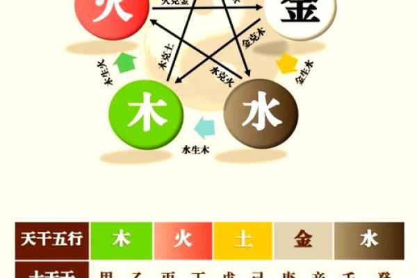 性格解析：五行年份深度解读，揭开你的神秘面纱