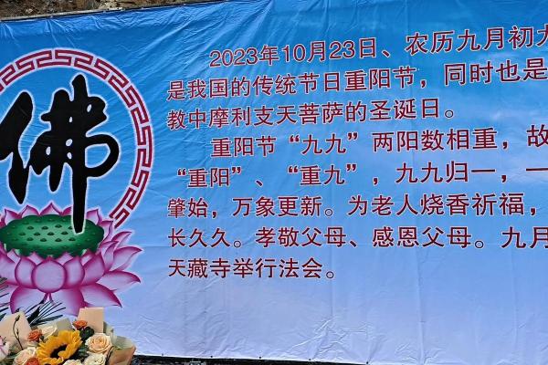 十一月的重要节日:从重阳节到感恩节的多重庆祝 十一月的重要节日:从重阳节到感恩节的多重庆祝