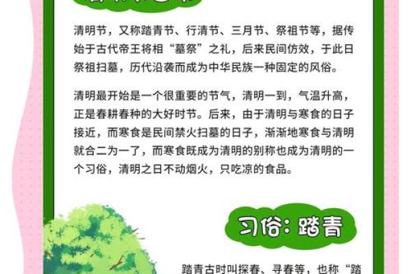 清明节扫墓文化传承与养生意义