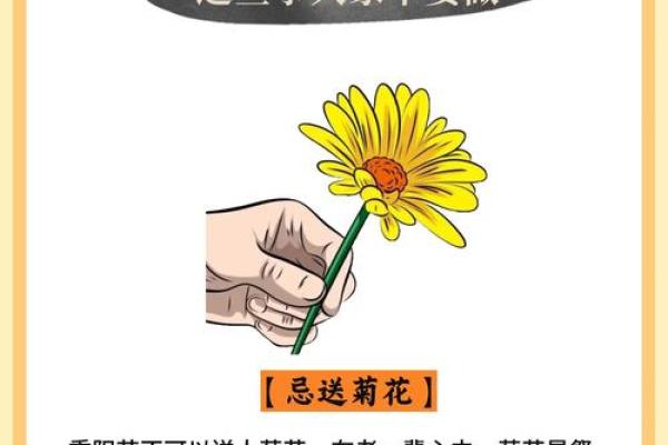 重阳节的历史渊源与传统习俗