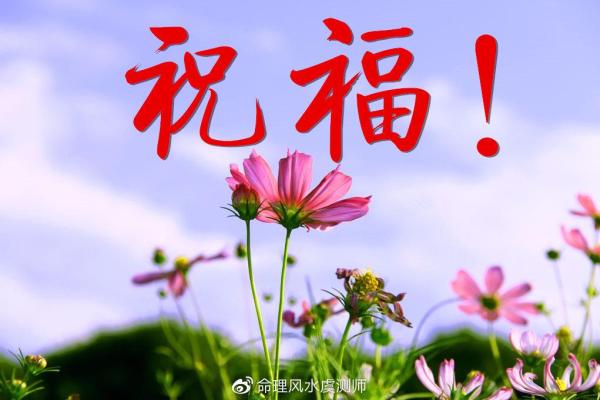 鹊桥命理你是否误入命运的误区？颠覆传统观念的命理解读