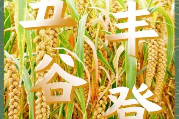 秋收时节的民间习俗与节令庆典