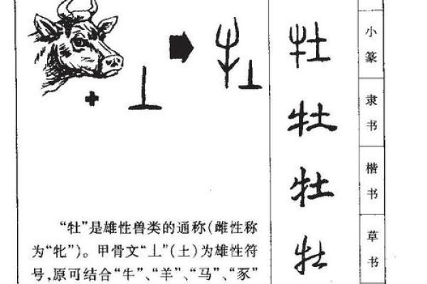 芷字五行格局误区大揭秘:你真的了解自己的性格吗? 芷字五行格局误区大揭秘:你真的了解自己的性格吗?