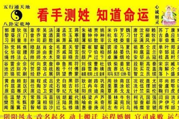 如何改变命运:腿长对你八字的真正影响 如何改变命运:腿长对你八字的真正影响