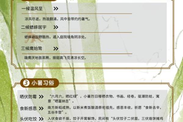 小暑节：农耕节气中的夏季养生与清凉饮食