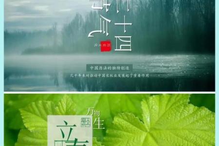 有日节气中的习俗传承与时代创新