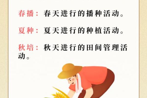 追溯农耕智慧:探索传统节日中的农业习俗 追溯农耕智慧:探索传统节日中的农业习俗