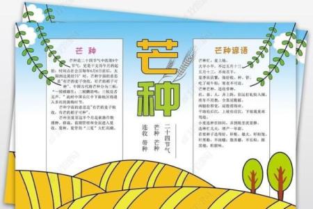 追溯农耕智慧：探索传统节日中的农业习俗