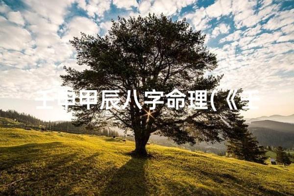 徐子淇命理揭秘：她的命运密码暗藏玄机，你知道吗？