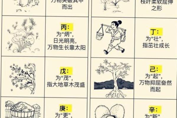 米字布局实用指南：性格解析教你如何优化五行格局