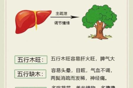 栗五行性格揭秘：颠覆传统五行格局，你了解自己吗？