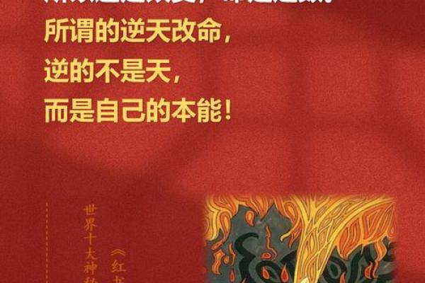 颠覆你认知的命理真相:命运密码竟然是这样 颠覆你认知的命理真相:命运密码竟然是这样