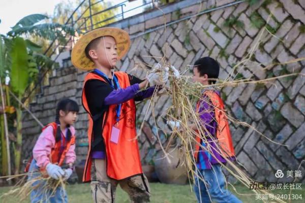 探秘万圣节：如何通过农耕习俗与日期选择理解传统