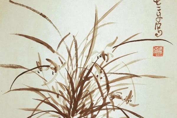 兰花五行格局实用指南:如何打造你的个人魅力格局 兰花五行格局实用指南:如何打造你的个人魅力格局