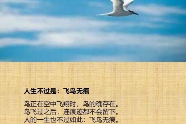 如何通过丰山命理打破命运的束缚,走向更好的未来 如何通过丰山命理打破命运的束缚,走向更好的未来