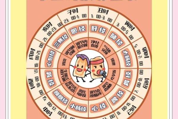 如何利用农历节日安排最有利的养生法 如何利用农历节日安排最有利的养生法