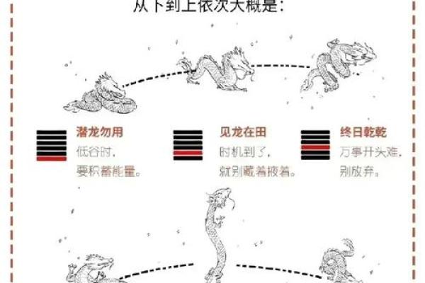 象命理暗藏玄机,如何改变你的命运轨迹? 象命理暗藏玄机,如何改变你的命运轨迹?