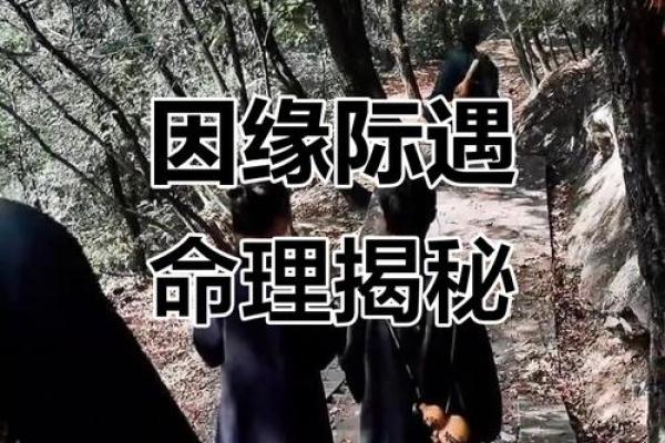 探索命理三关,揭开命运背后的深层玄机 探索命理三关,揭开命运背后的深层玄机