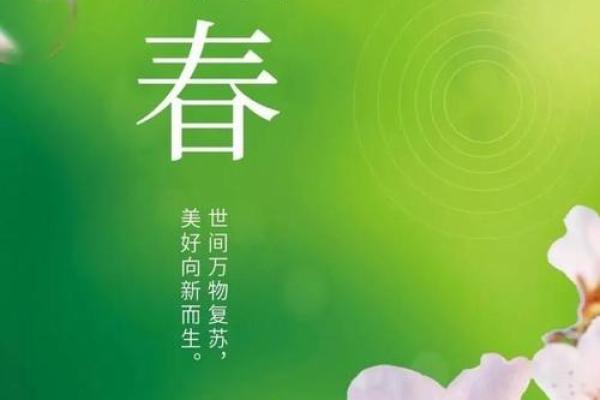 立春:春意盎然,探索立春节气的农耕与养生智慧 立春:春意盎然,探索立春节气的农耕与养生智慧