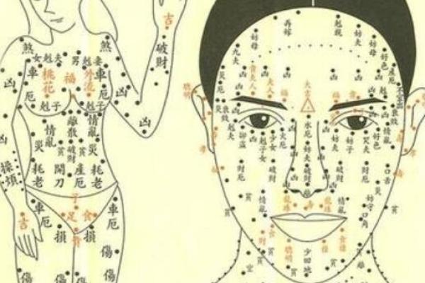 杨幂的八字揭示了哪些命运密码?如何逆转潜在的运势困局? 杨幂的八字揭示了哪些命运密码?如何逆转潜在的运势困局?