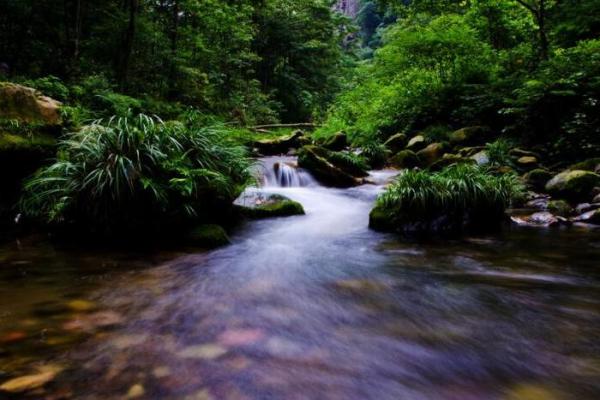 栎字五行格局，如何改变你的命运，从了解自己开始