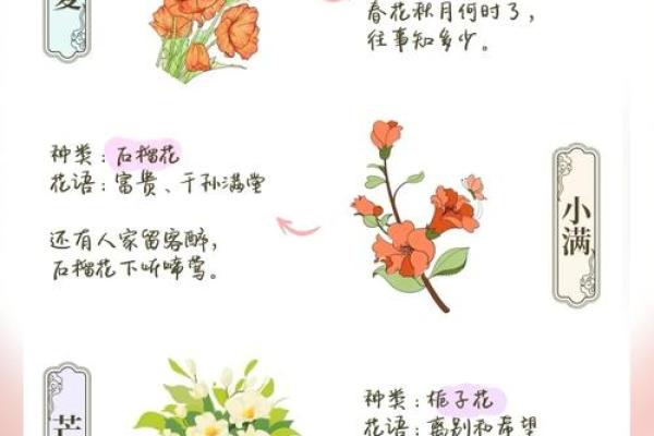 节令与节气的交替:农耕与自然的和谐关系 节令与节气的交替:农耕与自然的和谐关系