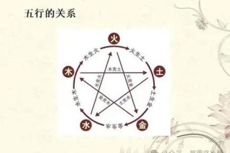 五行误区大揭秘：属木之人如何跳出性格局限？