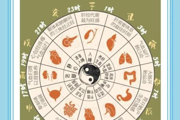 七月一日的养生智慧:适宜的食疗与作息方式 七月一日的养生智慧:适宜的食疗与作息方式