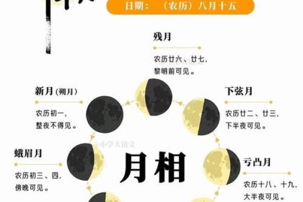 中秋节赏月：天文与人文的完美融合