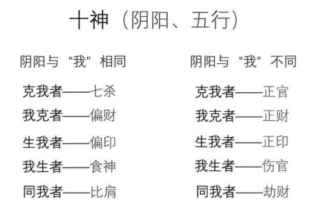 长白毛命理深度解析：命运密码能否打破你的束缚？