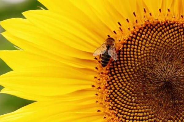 菁字五行格局误区破解：反而让你更懂自己