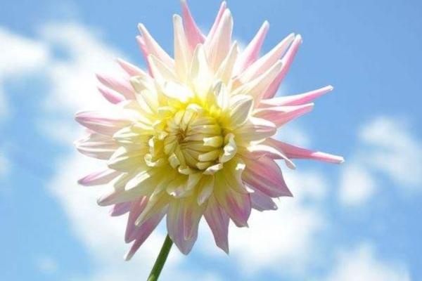 菁字五行格局误区破解：反而让你更懂自己