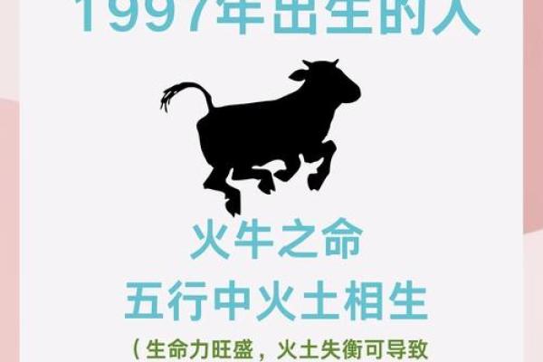 虎性难驯？破解性格解析的误区，掌握五行格局的转化之道