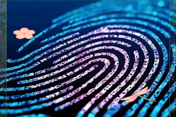 误区揭秘：黄有龙命理如何颠覆你的命运观念