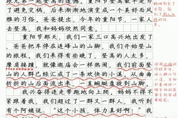 重阳节登高插茱萸:从农耕到现代的意义延续 重阳节登高插茱萸:从农耕到现代的意义延续