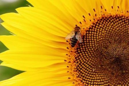 菁字五行格局误区破解：反而让你更懂自己