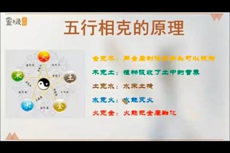五行性格解析：揭秘你的命运走向，如何巧妙利用？