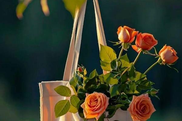 九月一号，这一天与秋天的养生之道息息相关