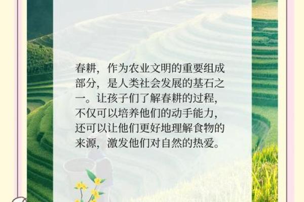 中国节日中的农耕智慧与季节变换