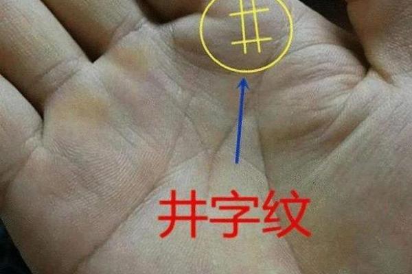 秦岚八字命理揭秘：命运密码背后的深层玄机